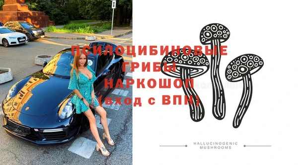 МДПВ Абинск