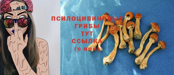 МДПВ Абинск