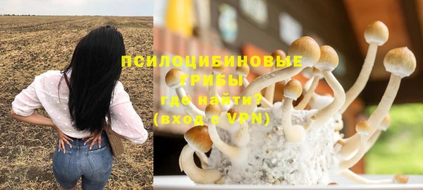 МДПВ Абинск