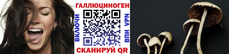 Галлюциногенные грибы Cubensis  Черемхово 